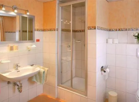 Garni Vergissmeinnicht 3*