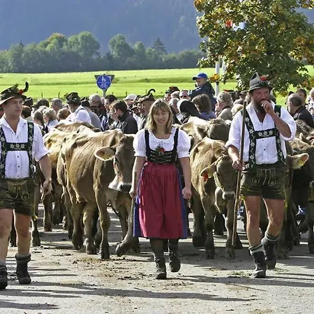 Garni Vergissmeinnicht